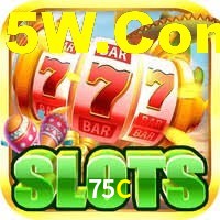 75C App Interface