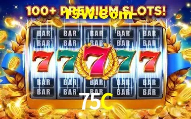 Sistemas de Segurança 75C